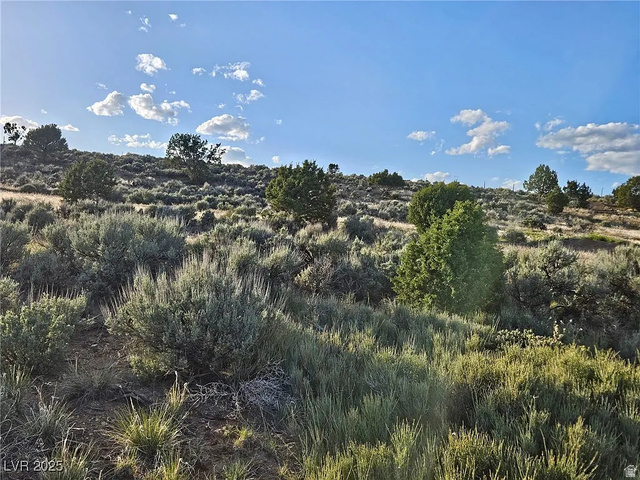 View of nature