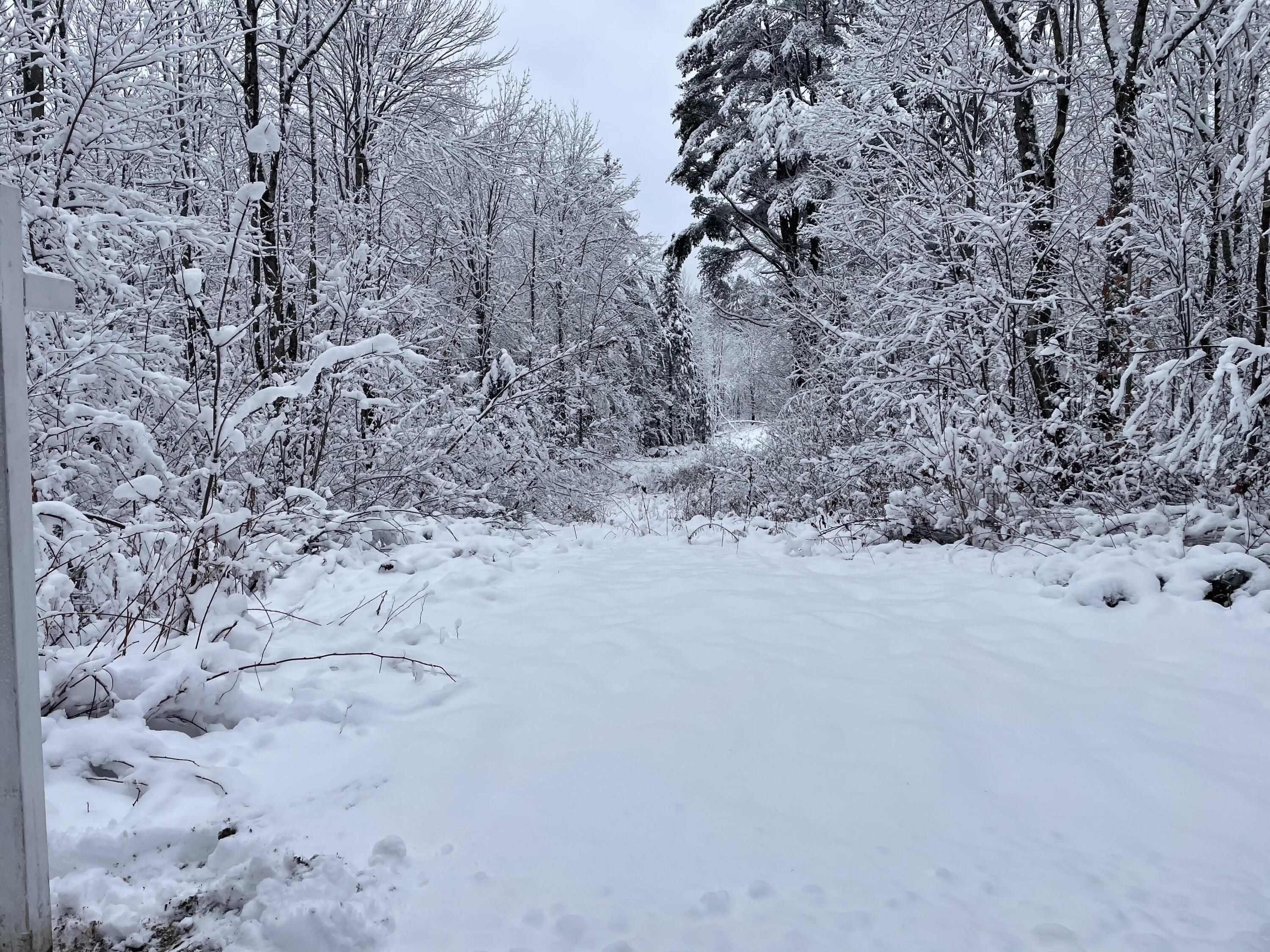 207 College Road Greene, ME 04236 - Photo 2 of 11 Winter Street View