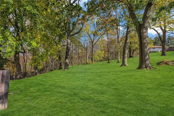 a view of a field with trees in the background