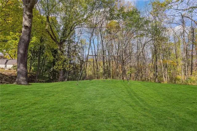 a view of a field of grass and trees