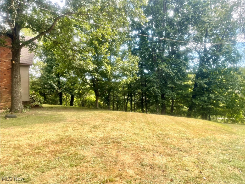 6518 Stonecreek Road Southwest Newcomerstown, OH 43832 - Photo 27 of 42 Yard next to the home.