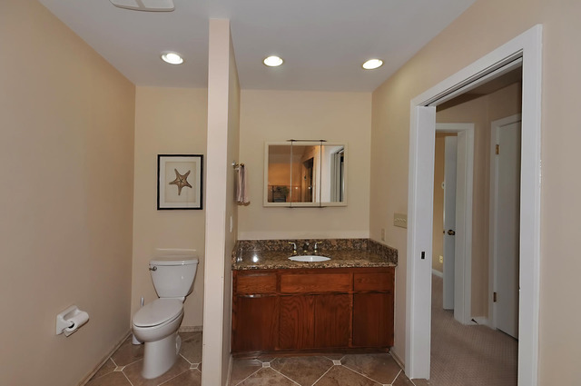 6584 Windham Lane Long Grove, IL 60047 - Photo 16 of 25