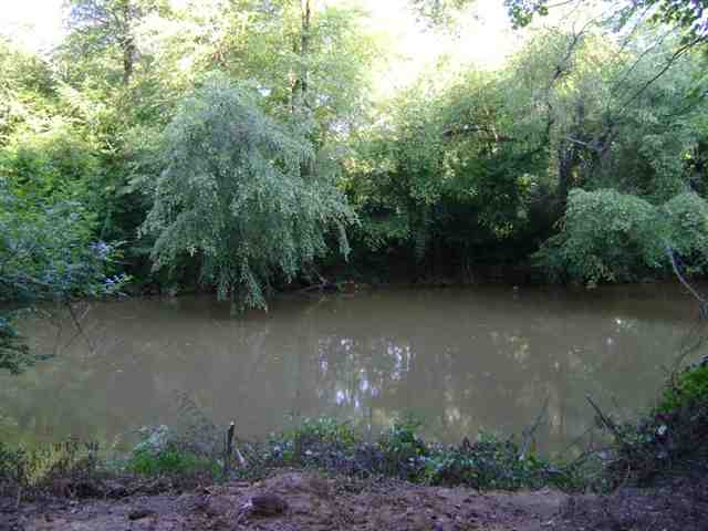 57-ac Dalton Road Piedmont, SC 29673 - Photo 2 of 7 Gallery Image 2