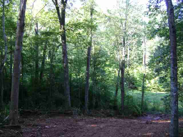 57-ac Dalton Road Piedmont, SC 29673 - Photo 4 of 7 Gallery Image 4