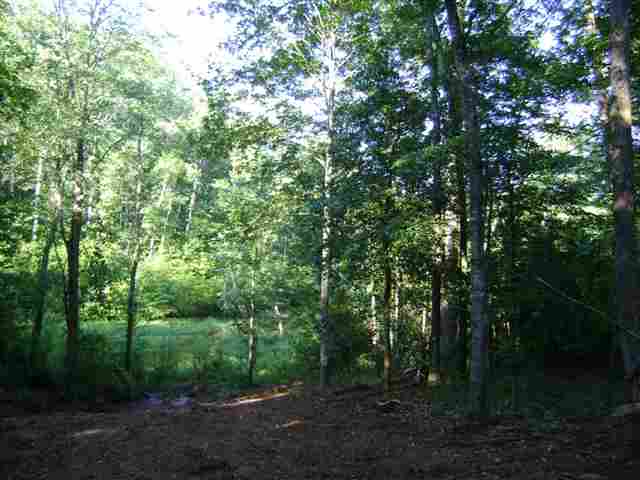 57-ac Dalton Road Piedmont, SC 29673 - Photo 5 of 7 Gallery Image 5