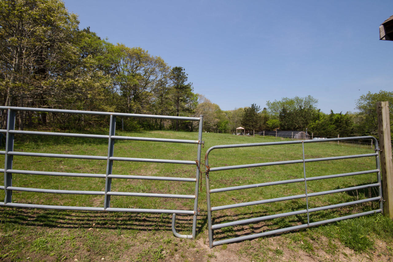 507 Barnes Road Oak Bluffs, MA 02557 - Photo 12 of 29 Additional Photo