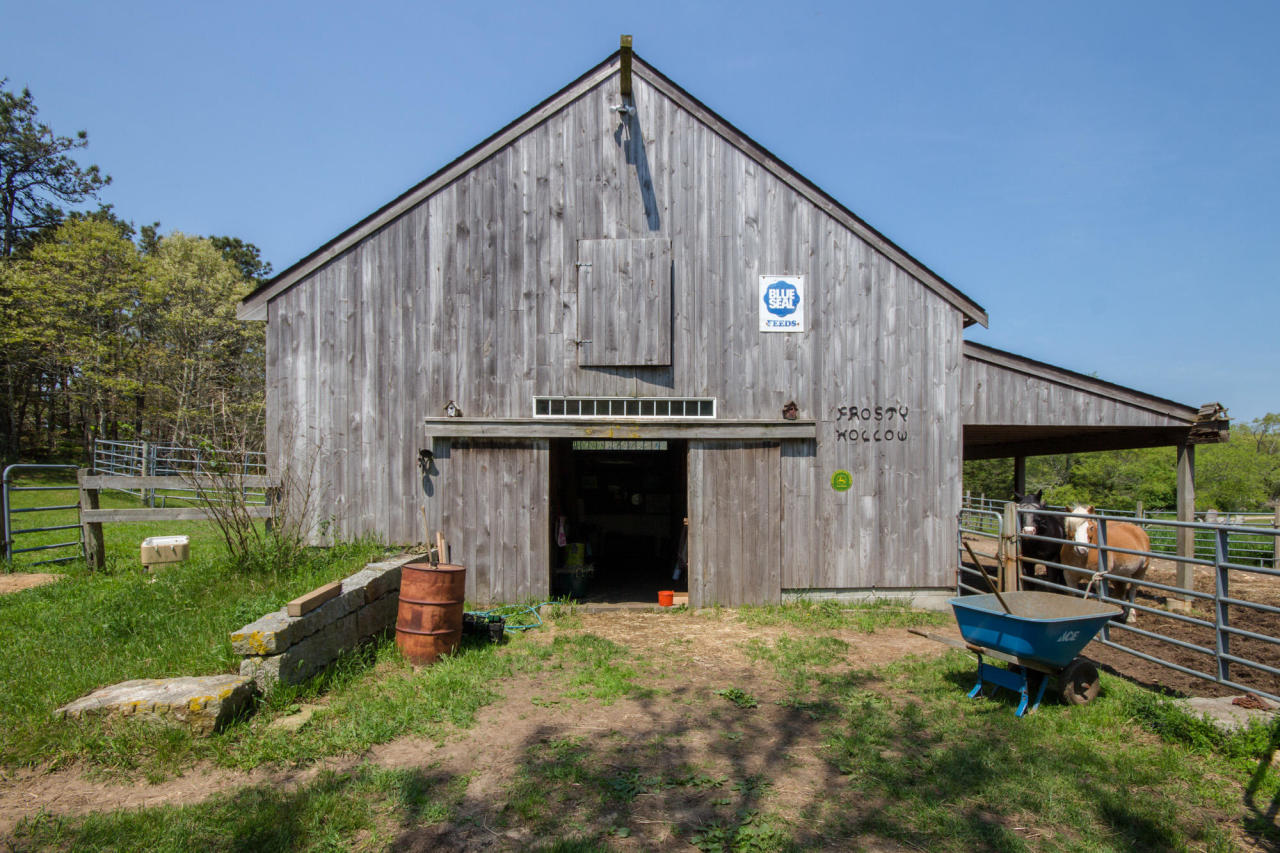 507 Barnes Road Oak Bluffs, MA 02557 - Photo 8 of 29 Additional Photo