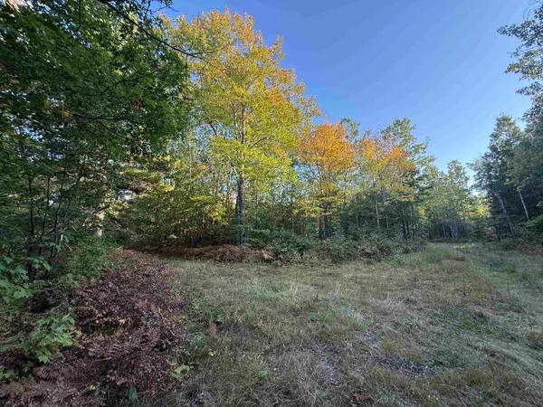 $39,000 | 0 Us Highway, Iron River, WI 54847