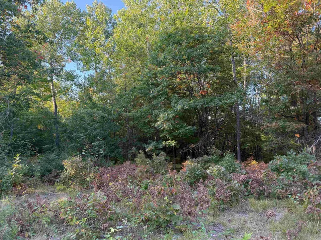 $39,000 | 0 Us Highway, Iron River, WI 54847