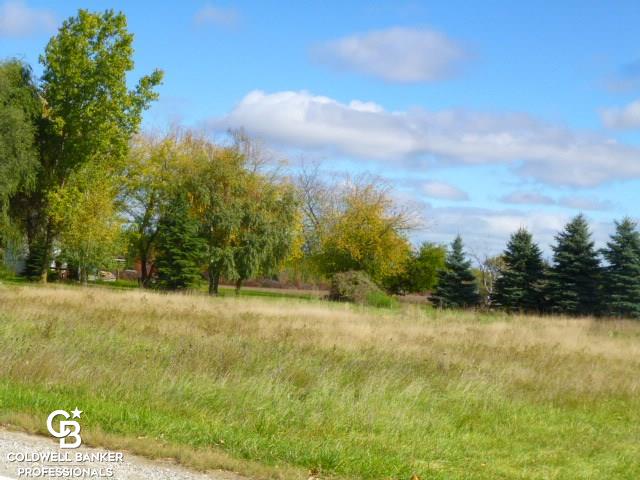 5788 Kilgore Road Avoca, MI 48006 - Photo 9 of 46