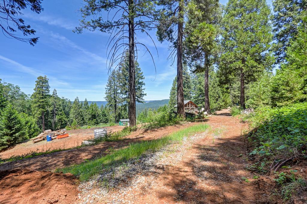 1050 Moody Ridge Road Alta, CA 95701 - Photo 18 of 77