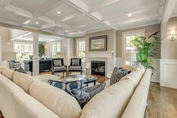 a living room with furniture potted plant and a fireplace
