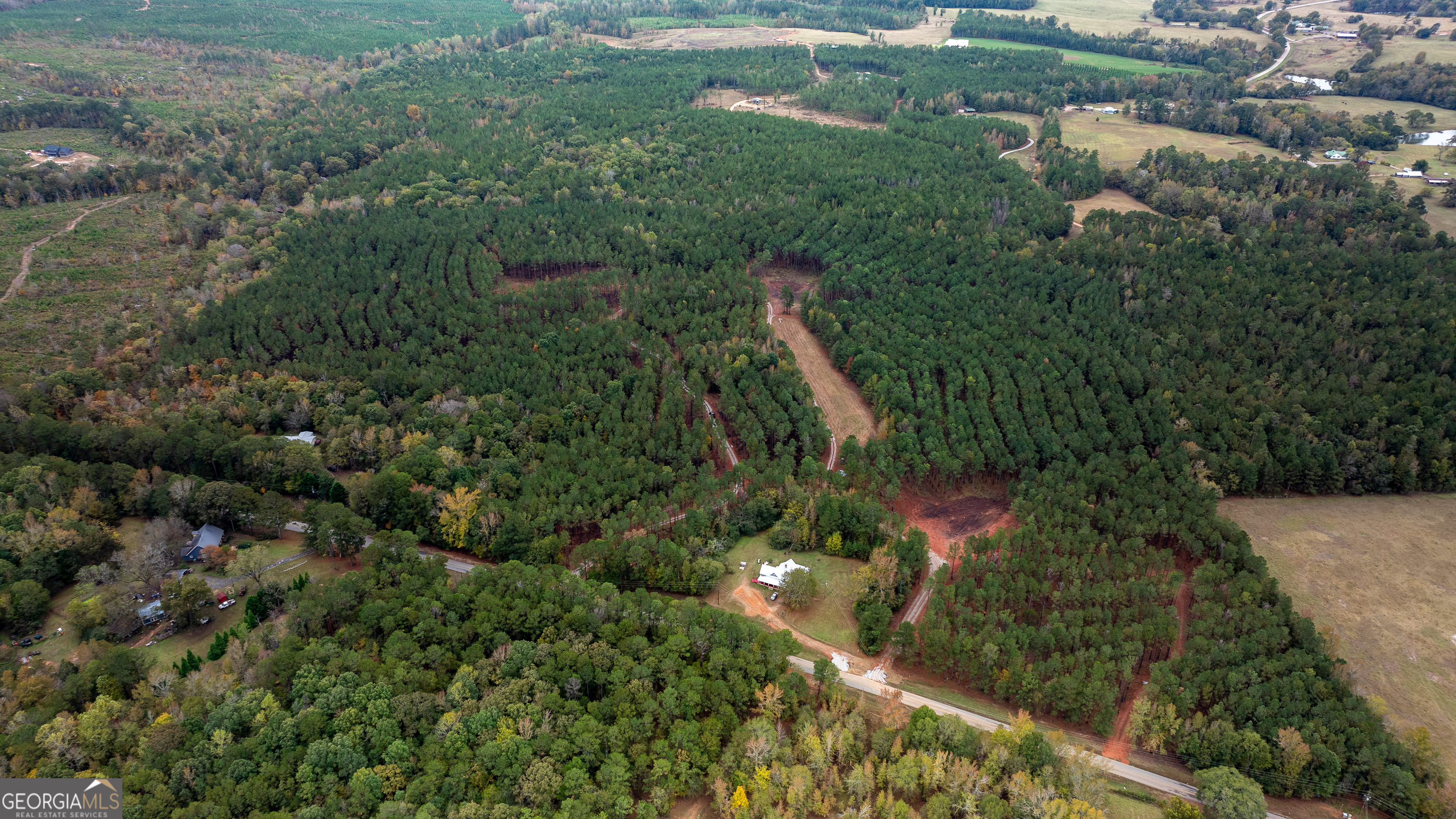 1231 Lanier Road White Plains, GA 30678 - Photo 3 of 7 an aerial view of residential houses with outdoor space and trees