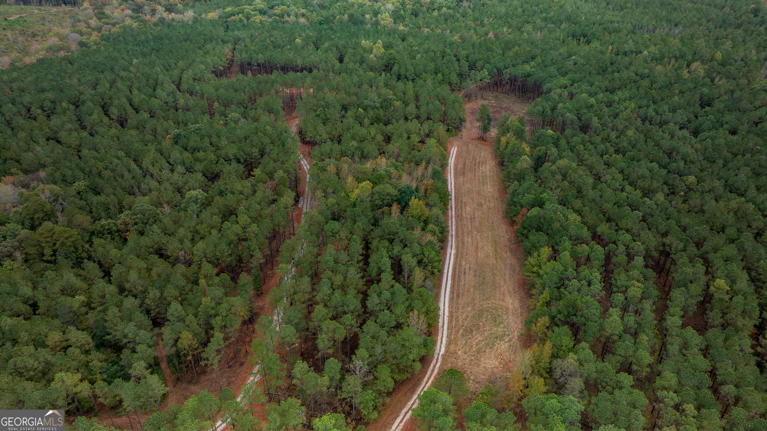 1231 Lanier Road White Plains, GA 30678 - Photo 4 of 7 a view of a forest with a building