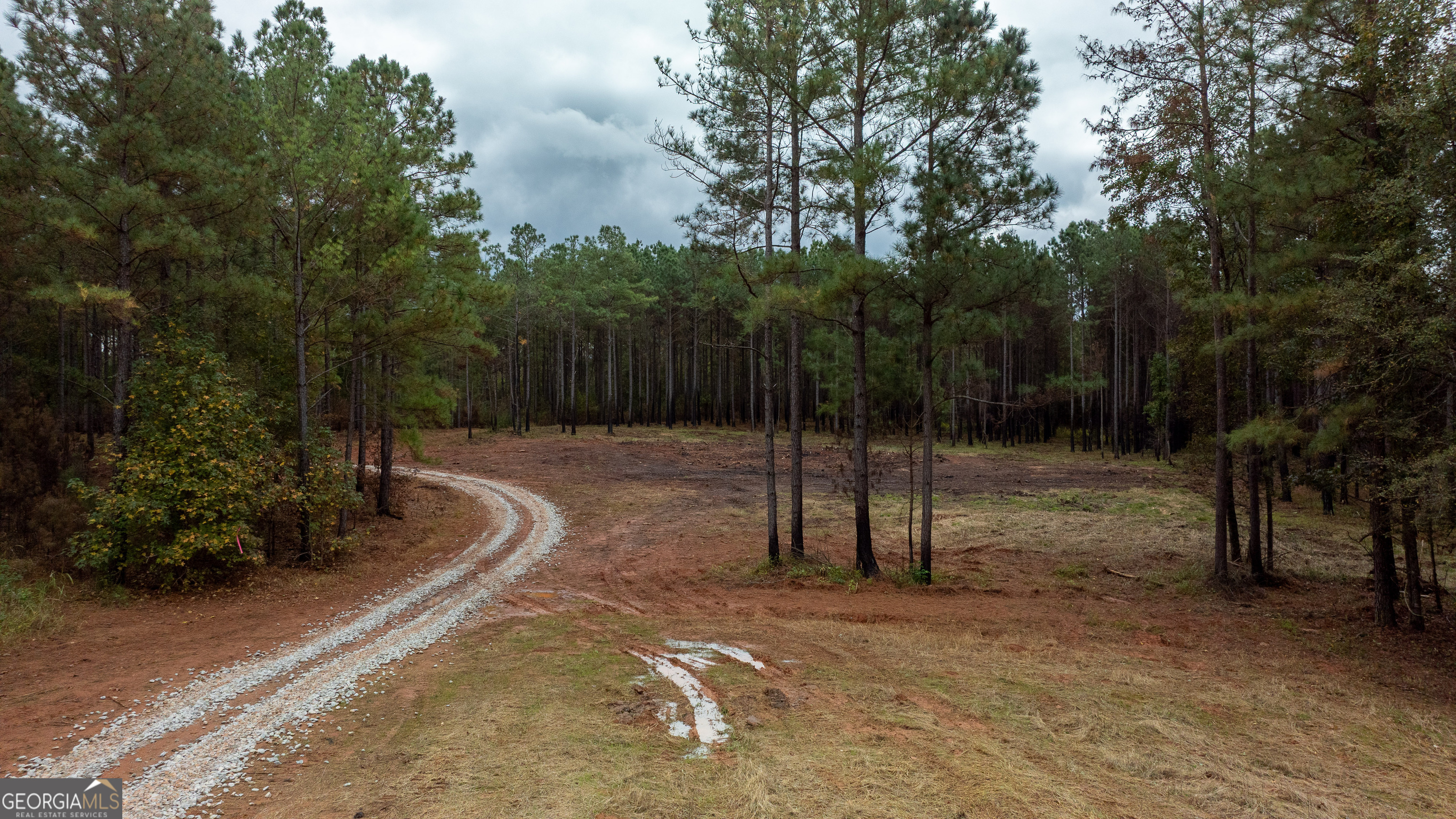 1231 Lanier Road White Plains, GA 30678 - Photo 6 of 7 a view of a park with trees