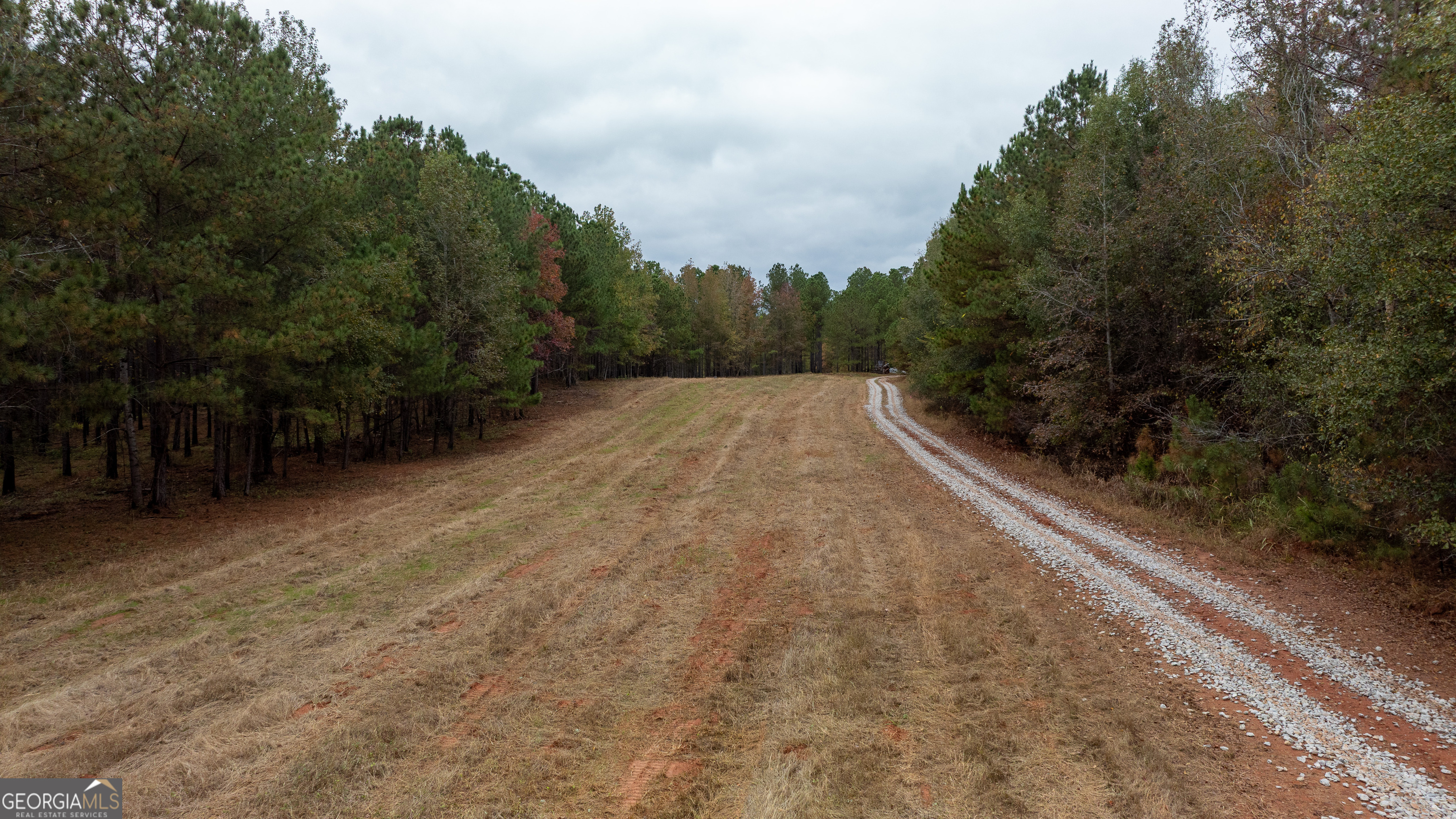 1231 Lanier Road White Plains, GA 30678 - Photo 7 of 7 a view of outdoor space and yard