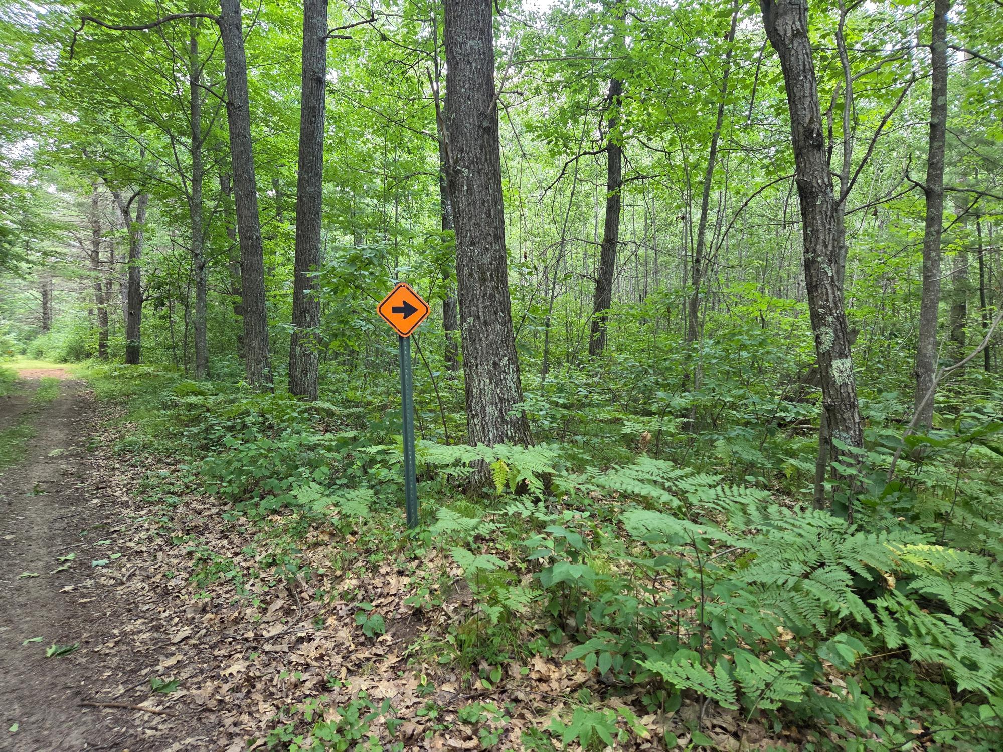 On Oakridge Road Harshaw, WI 54529 - Photo 40 of 75