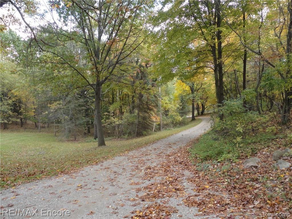4431 Hough Road Dryden, MI 48428 - Photo 40 of 42 winding drive.jpg