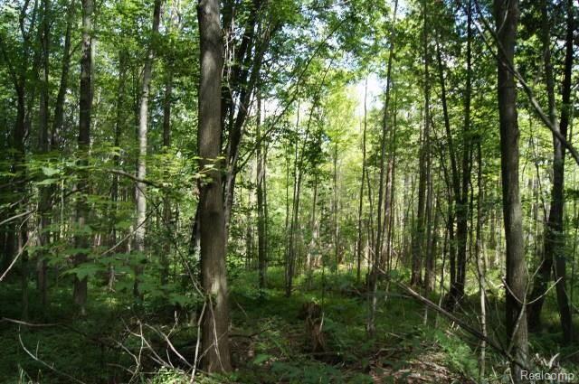 5727 Hasslick Road North Branch, MI 48461 - Photo 4 of 9