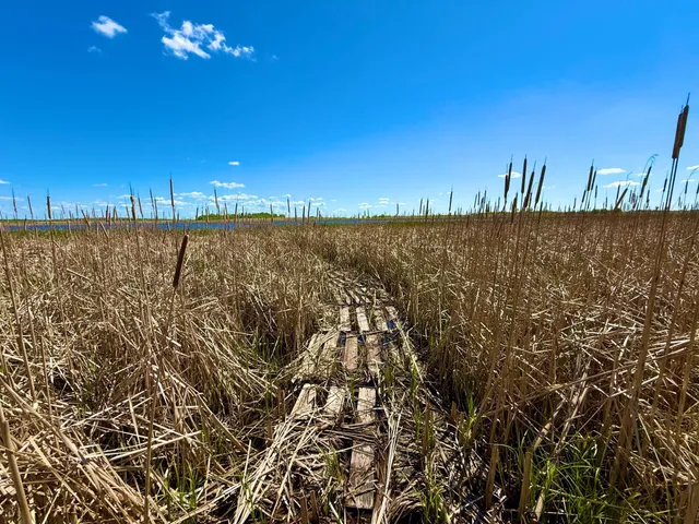 $350,000 | Tbd Tbd 240th Avenue, Callaway, MN 56521