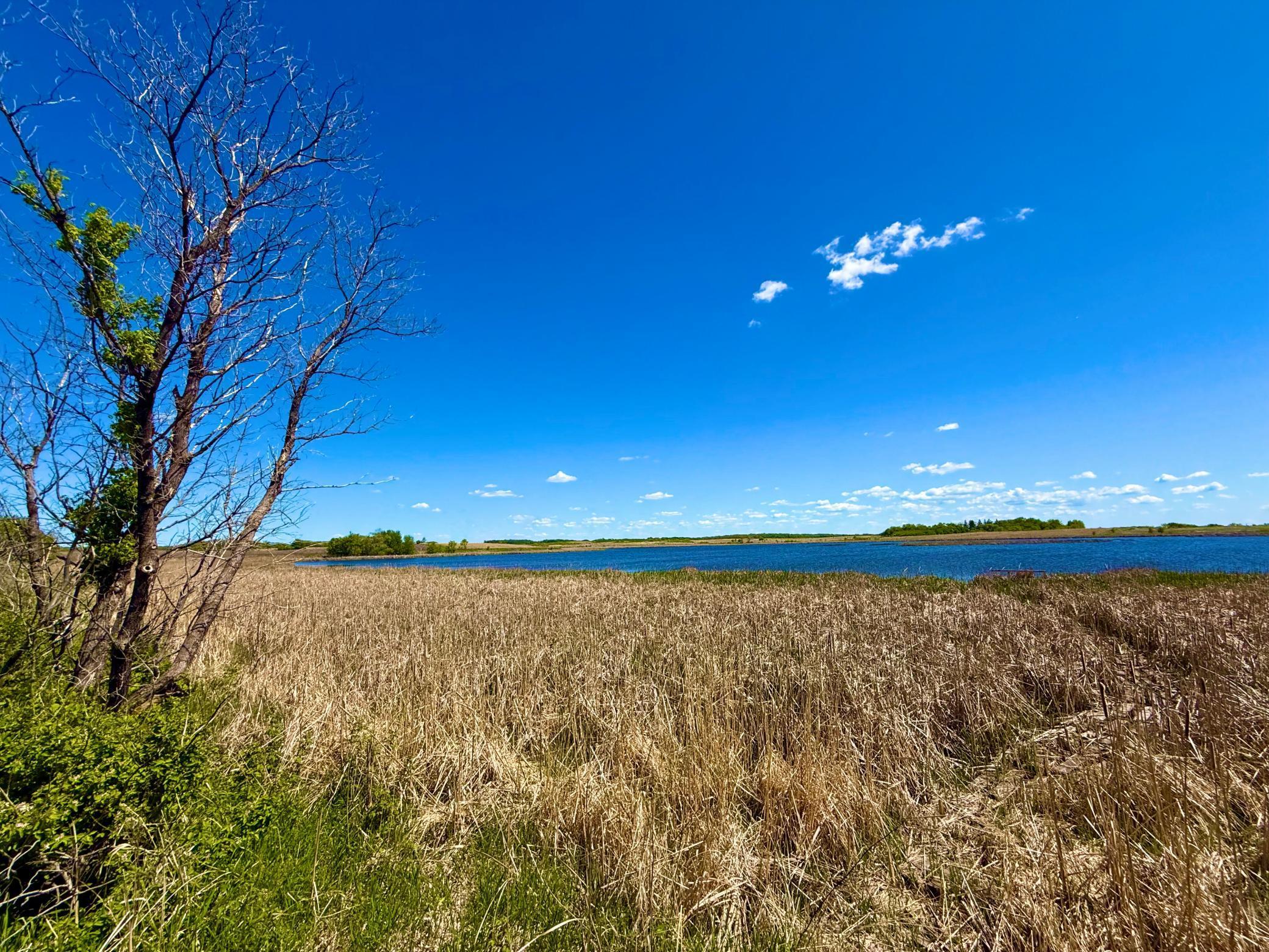 Tbd Tbd 240th Avenue Callaway, MN 56521 - Photo 11 of 38