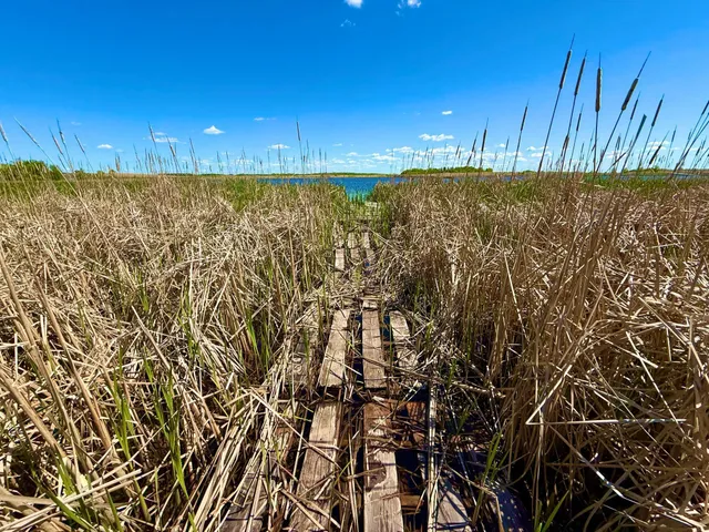 $350,000 | Tbd Tbd 240th Avenue, Callaway, MN 56521