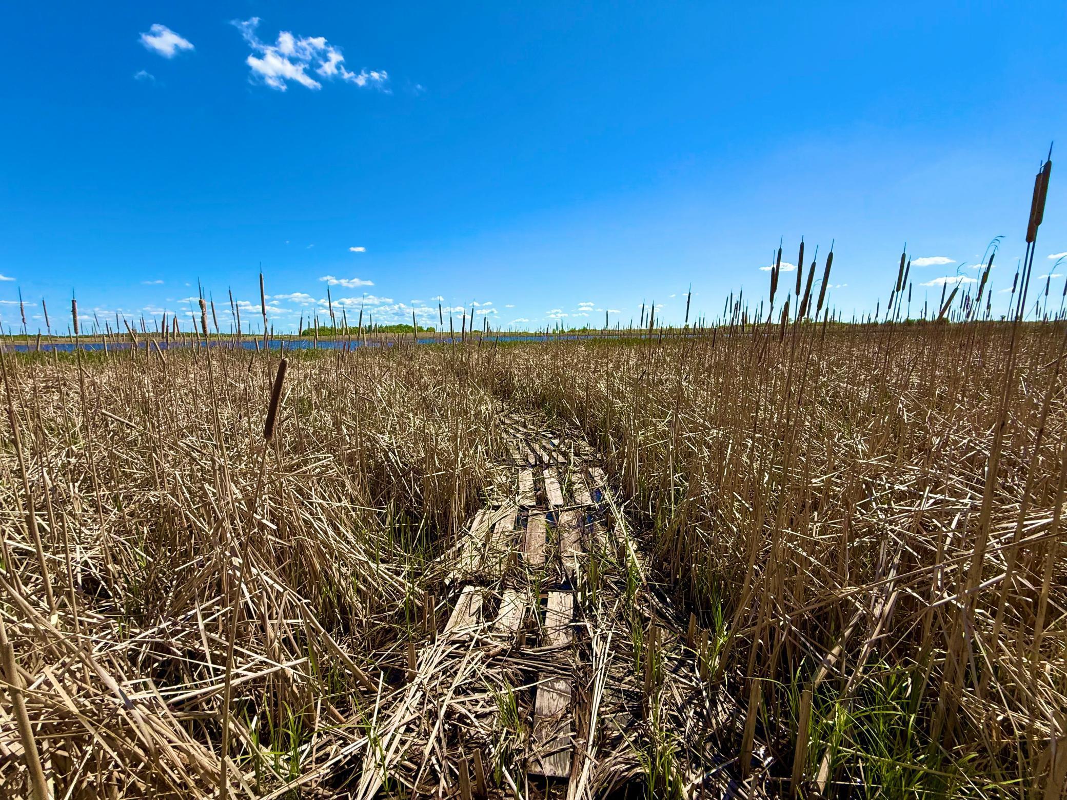 Tbd Tbd 240th Avenue Callaway, MN 56521 - Photo 12 of 38