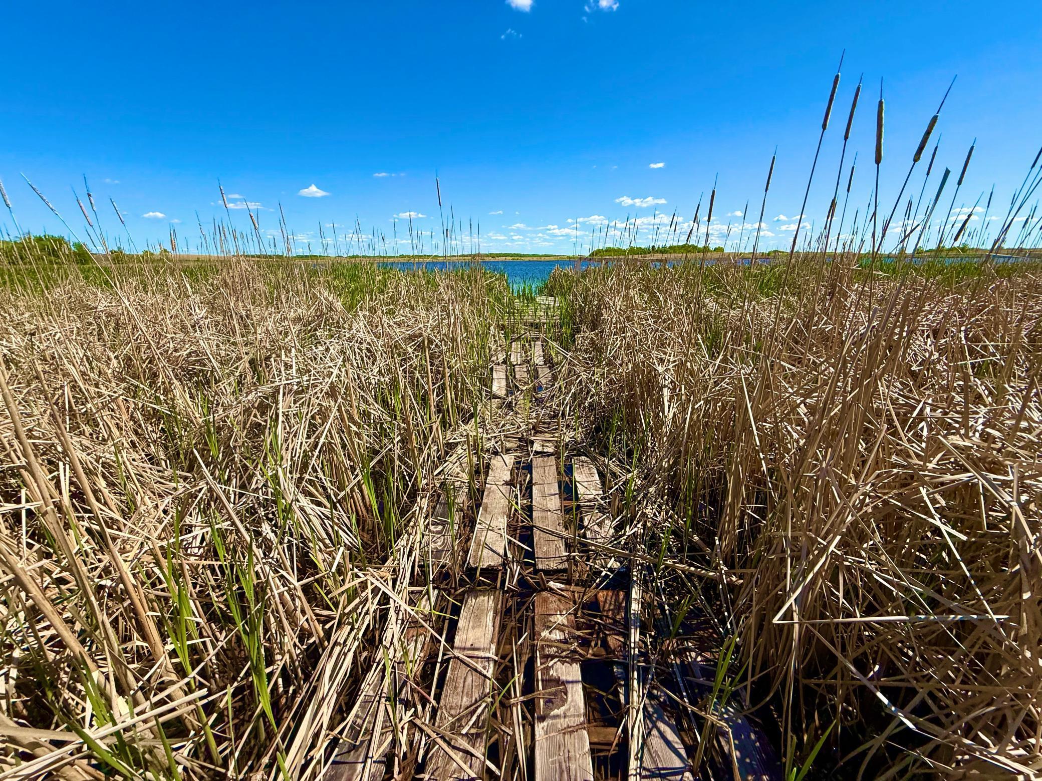 Tbd Tbd 240th Avenue Callaway, MN 56521 - Photo 13 of 38