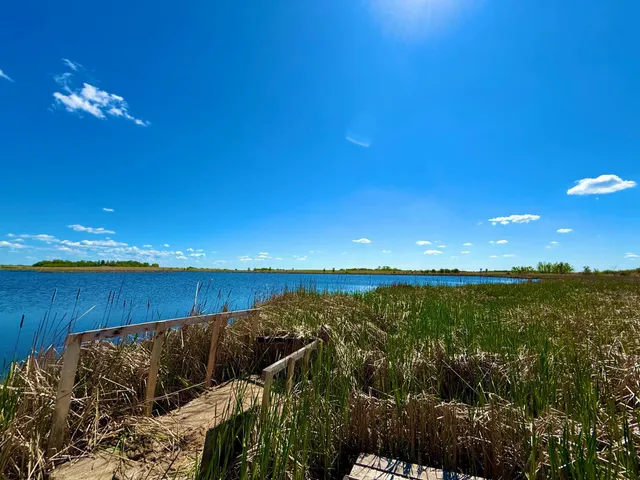 $350,000 | Tbd Tbd 240th Avenue, Callaway, MN 56521