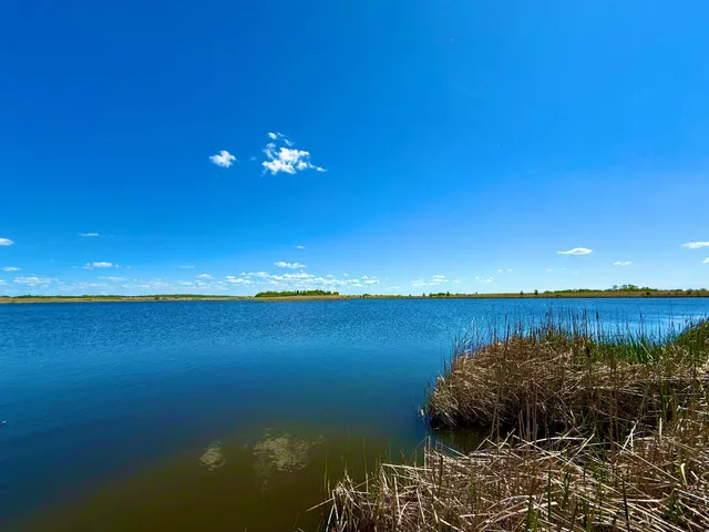 $350,000 | Tbd Tbd 240th Avenue, Callaway, MN 56521