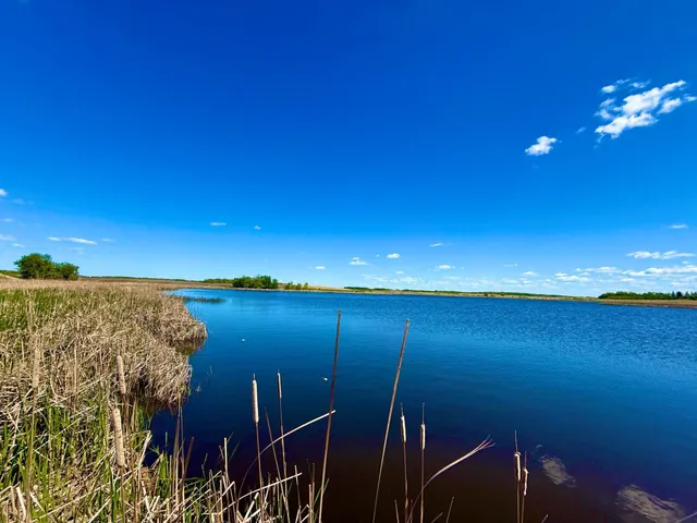 $350,000 | Tbd Tbd 240th Avenue, Callaway, MN 56521