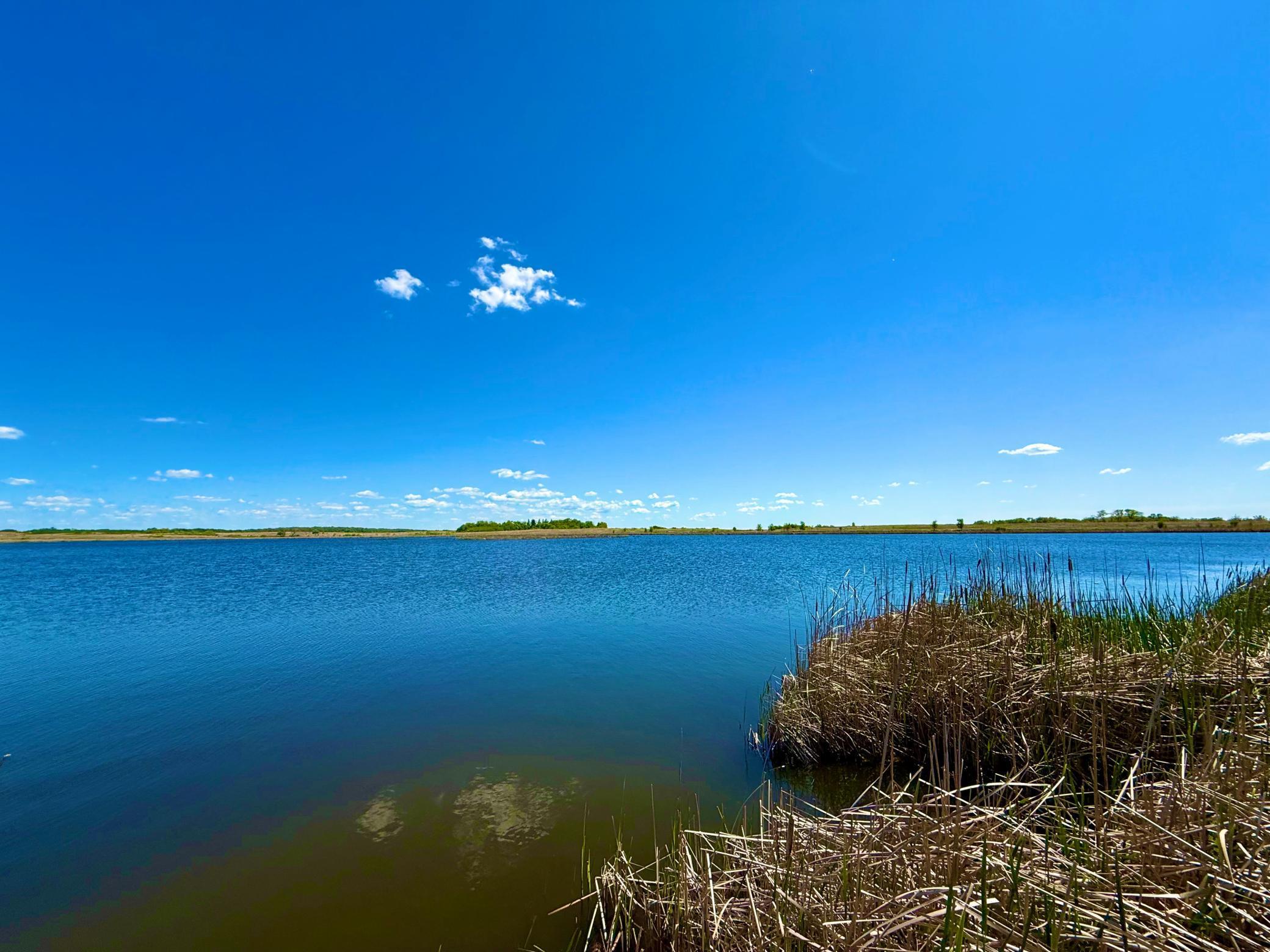 Tbd Tbd 240th Avenue Callaway, MN 56521 - Photo 16 of 38