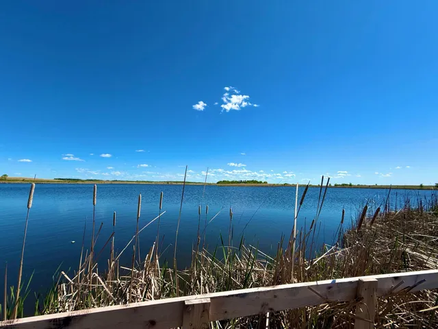 $350,000 | Tbd Tbd 240th Avenue, Callaway, MN 56521