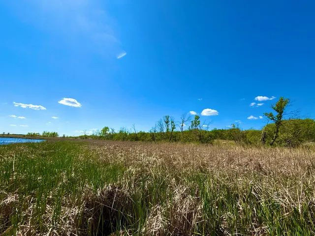 $350,000 | Tbd Tbd 240th Avenue, Callaway, MN 56521