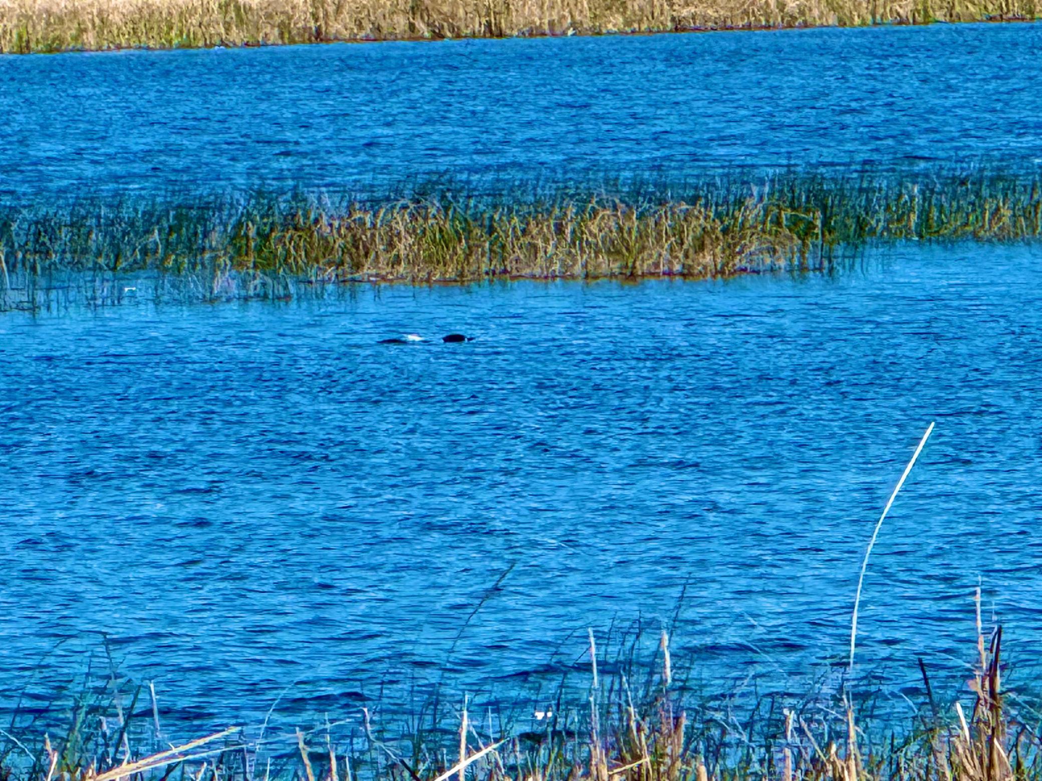 Tbd Tbd 240th Avenue Callaway, MN 56521 - Photo 22 of 38