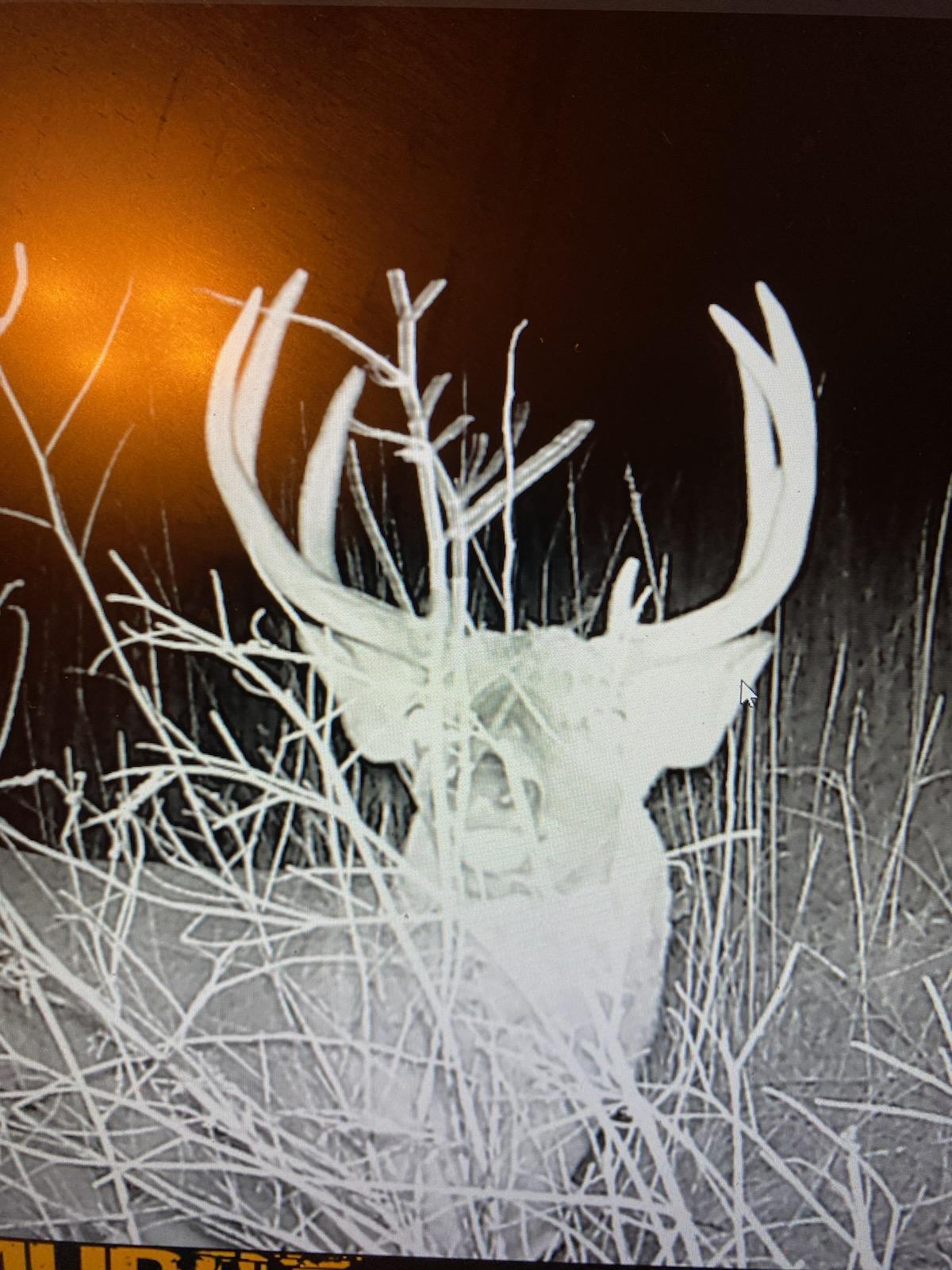 Tbd Tbd 240th Avenue Callaway, MN 56521 - Photo 3 of 38