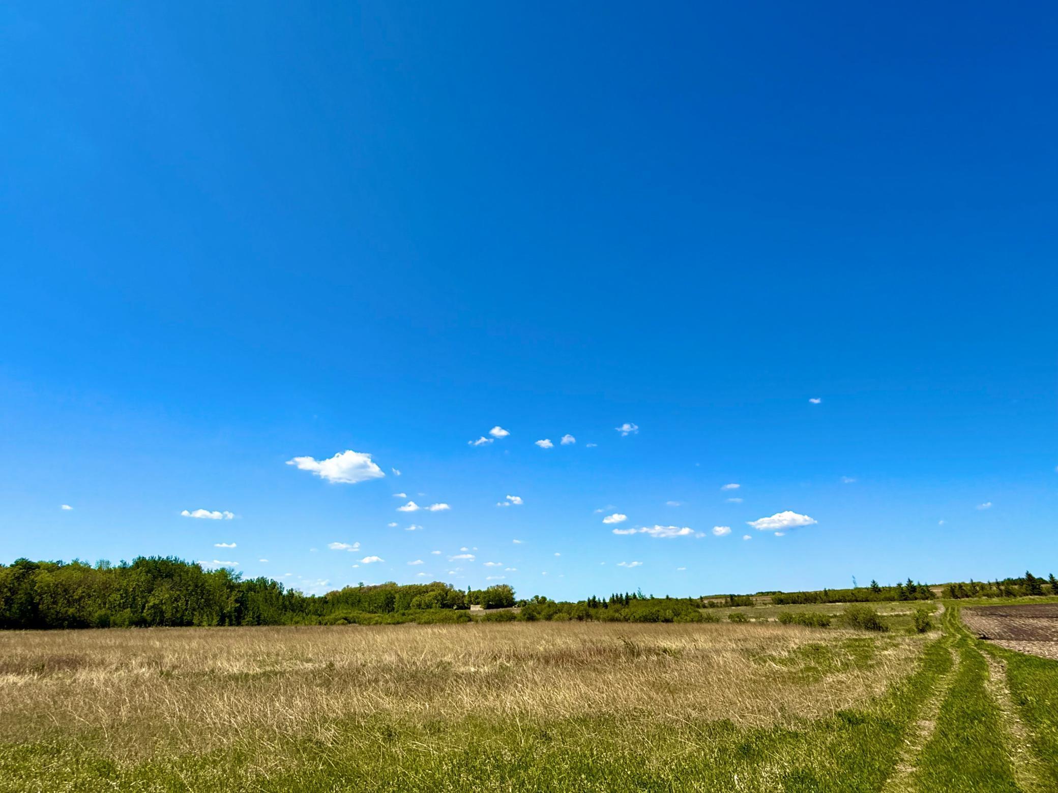 Tbd Tbd 240th Avenue Callaway, MN 56521 - Photo 8 of 38