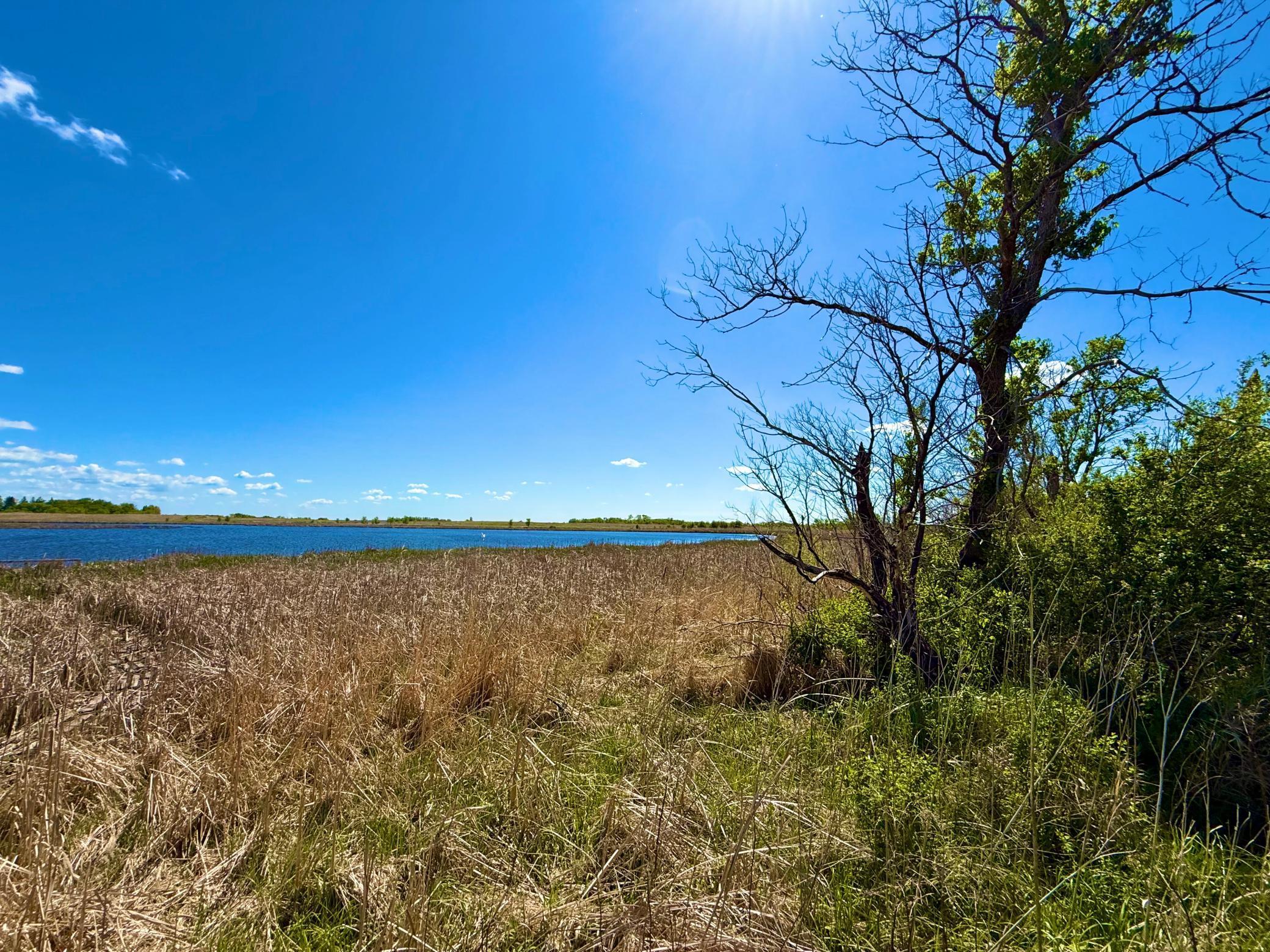Tbd Tbd 240th Avenue Callaway, MN 56521 - Photo 10 of 38