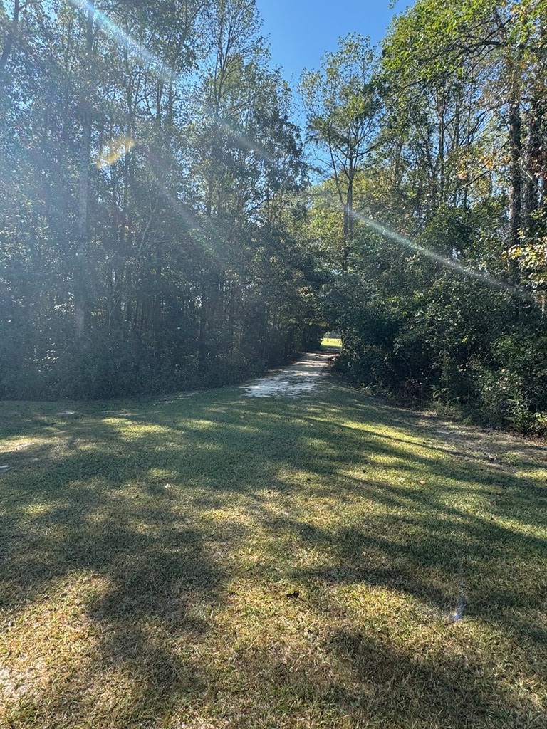 0 Russell Road Samson, AL 36477 - Photo 18 of 32