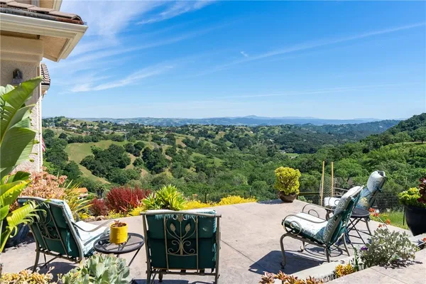 a view of a garden with plants and large trees