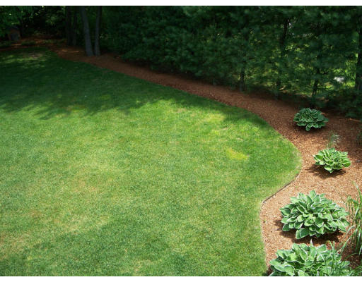 113 Burnham Road Lowell, MA 01852 - Photo 18 of 19 Gallery Image 18