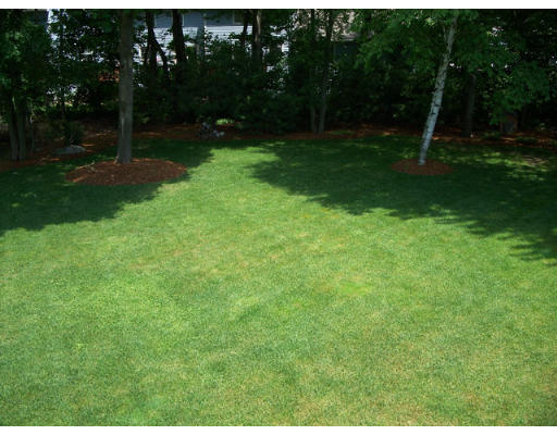 113 Burnham Road Lowell, MA 01852 - Photo 19 of 19 Gallery Image 19
