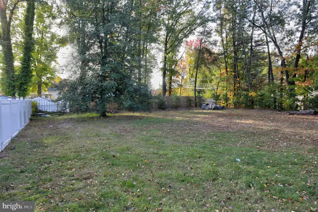 a view of a yard with a tree