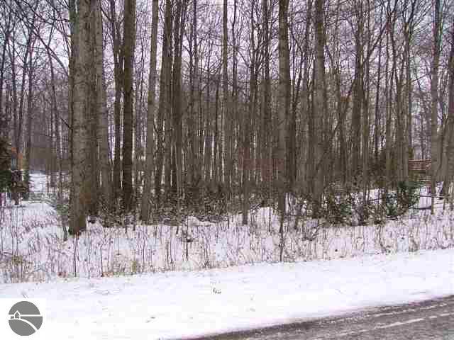 0 South Manor Drive Cedar, MI 49621 - Photo 2 of 4 1698573-1.JPG