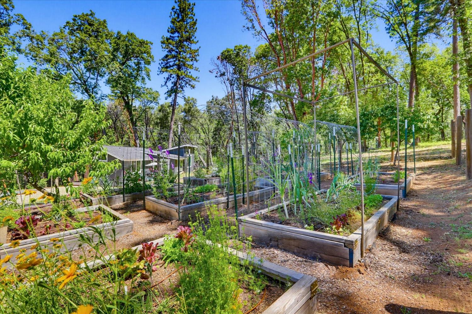 14381 Sunrock Road Nevada City, CA 95959 - Photo 67 of 88