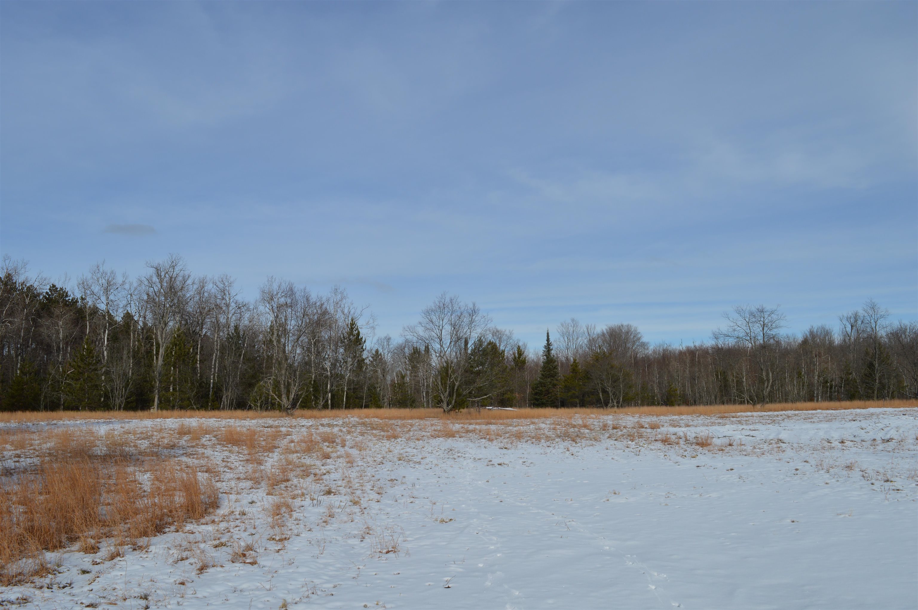 Off Wood Road Northeast Kalkaska, MI 49646 - Photo 5 of 22