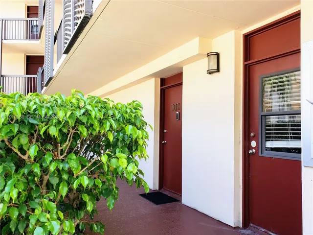 a view of a potted plants in front of a building