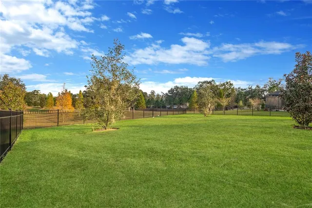 $699,900 | 3010 Albion Walk Place, Valrico, FL 33596