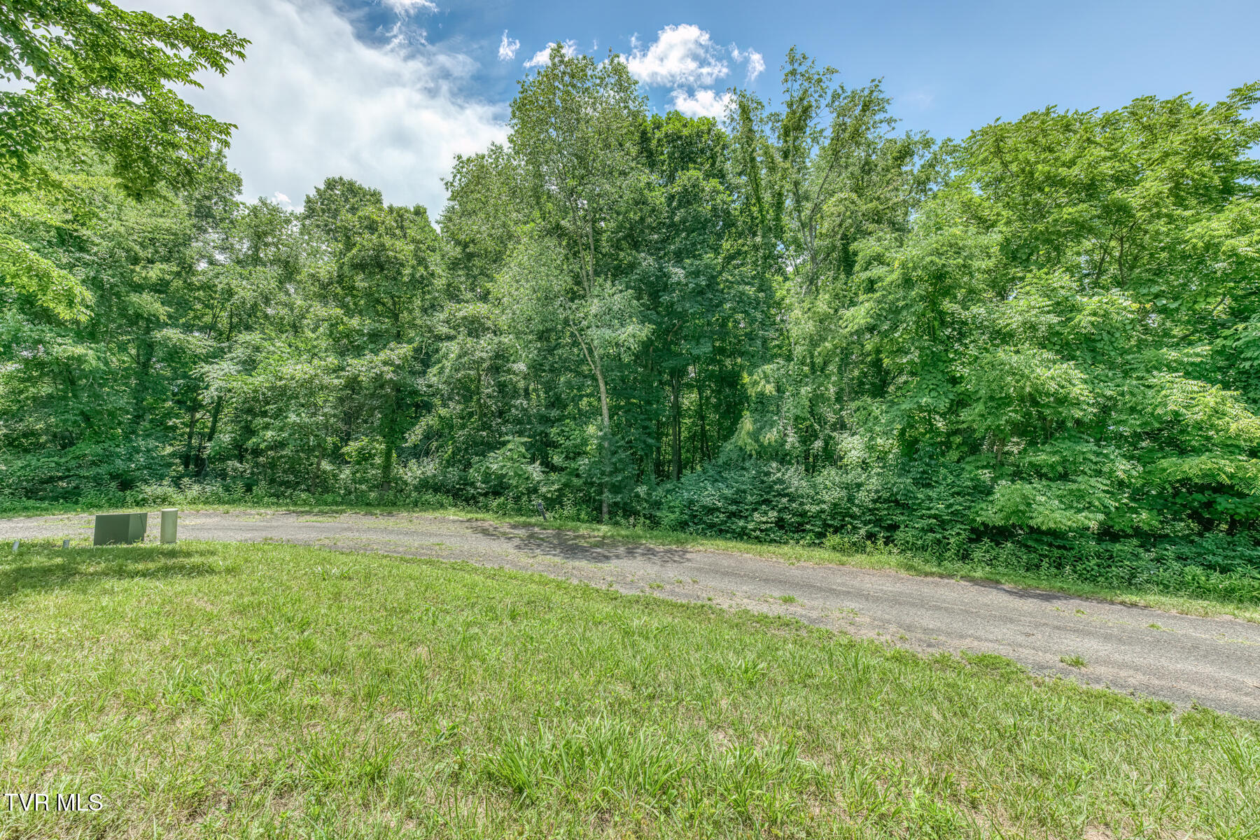 Lot 50 Dry Hill Road, Unit 50 Butler, TN 37640 - Photo 8 of 27 Lot 50, Redbud Cir-23