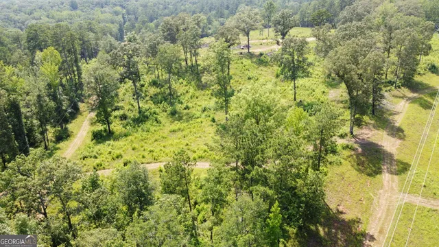 $891,750 | 0 Rum Creek Road, Juliette, GA 31046